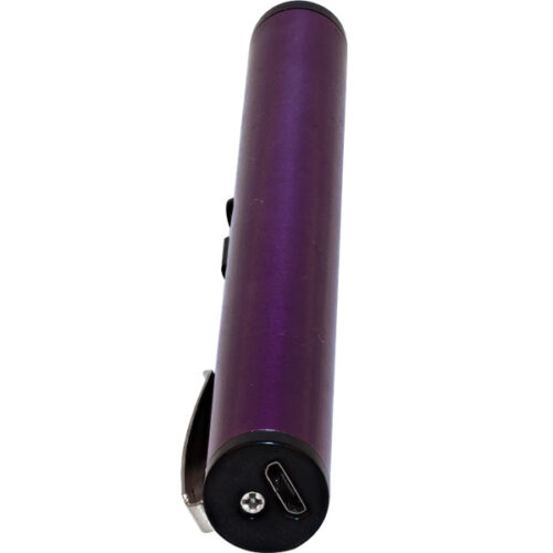 ThugBusters Premium Stun Pen Purple Side