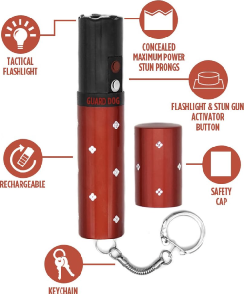 Electra Key Chain Stun gun elements