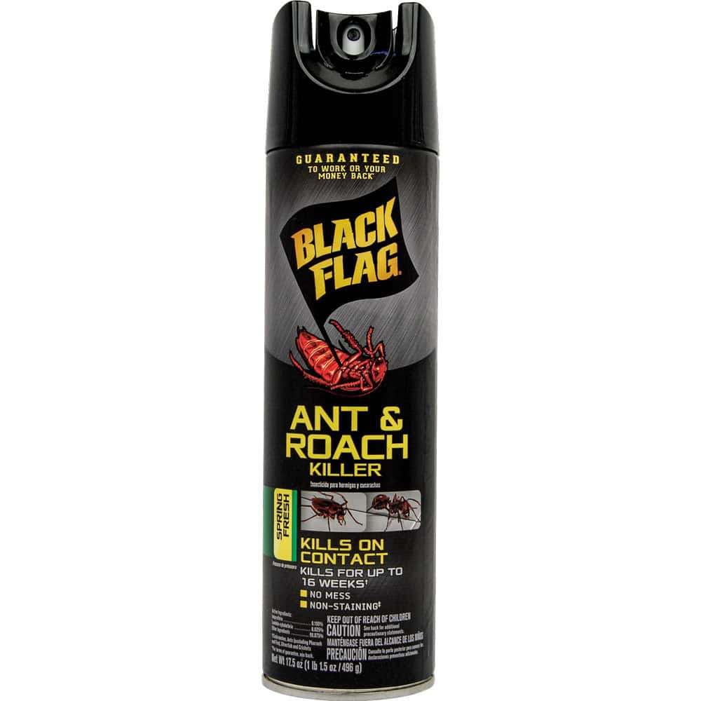 DSBFLAGajpg | ThugBusters DS BFLAG ajpg