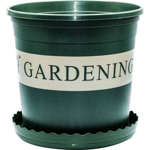 DS FLOWERPOT ajpg